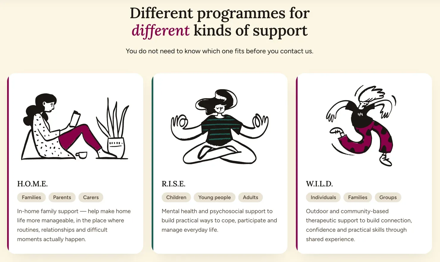 Programme cards on the Empower YOUth website under the heading “Different programmes for different kinds of support”: H.O.M.E., R.I.S.E. and W.I.L.D., each with a hand-drawn illustration, who it’s for and a short description.